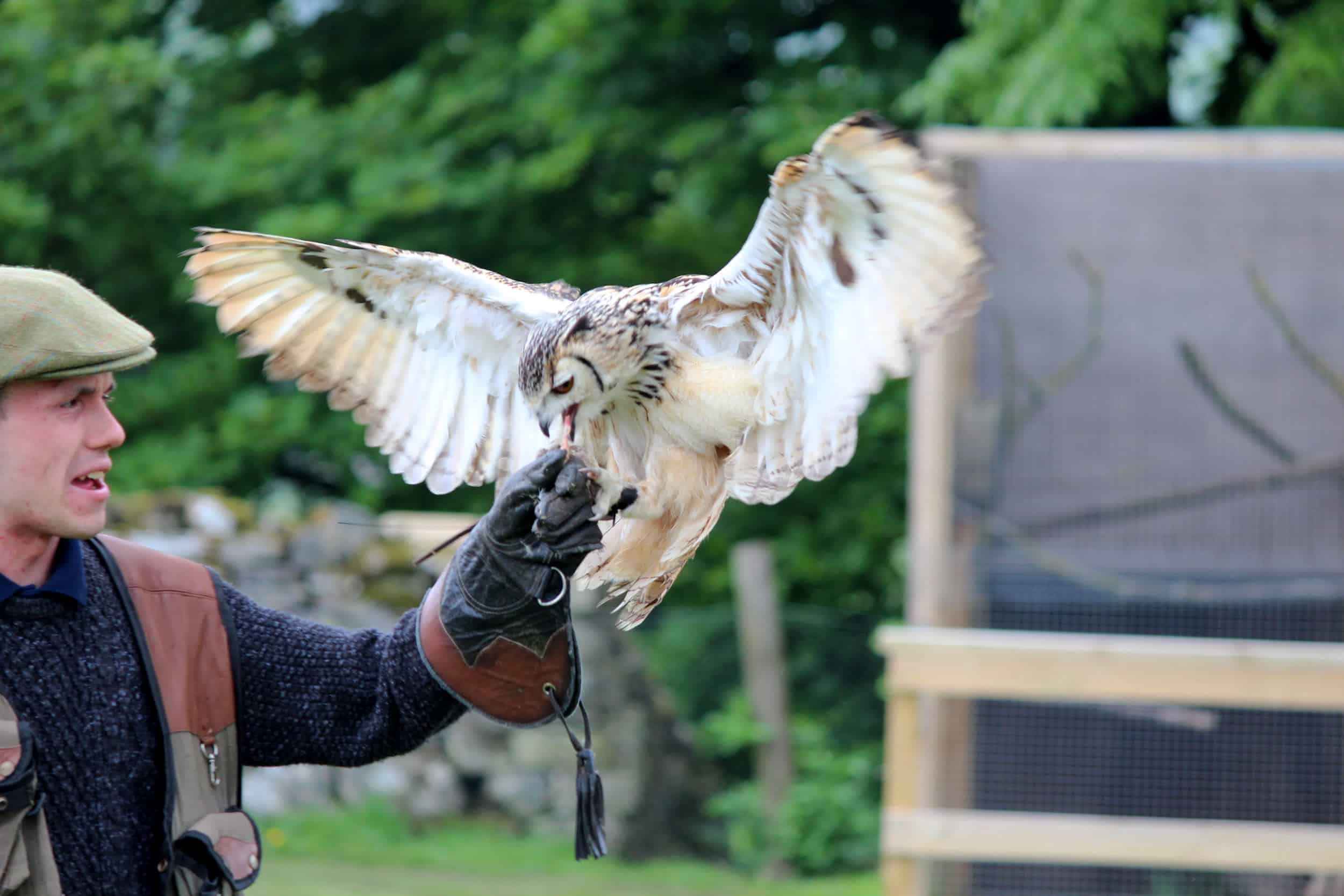 Bolton Castle in Wensleydale, family days out, falconry and weddings