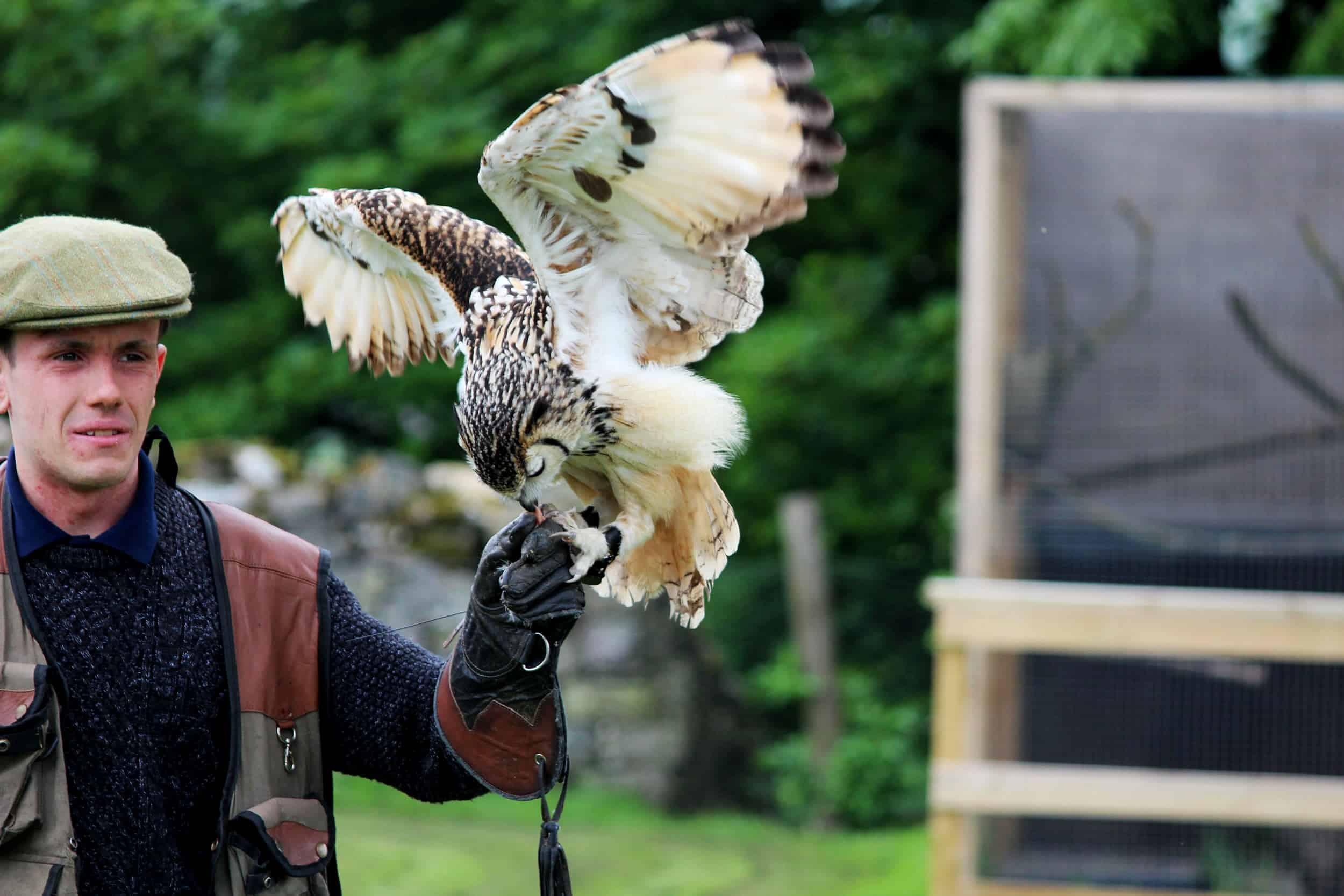 Bolton Castle in Wensleydale, family days out, falconry and weddings