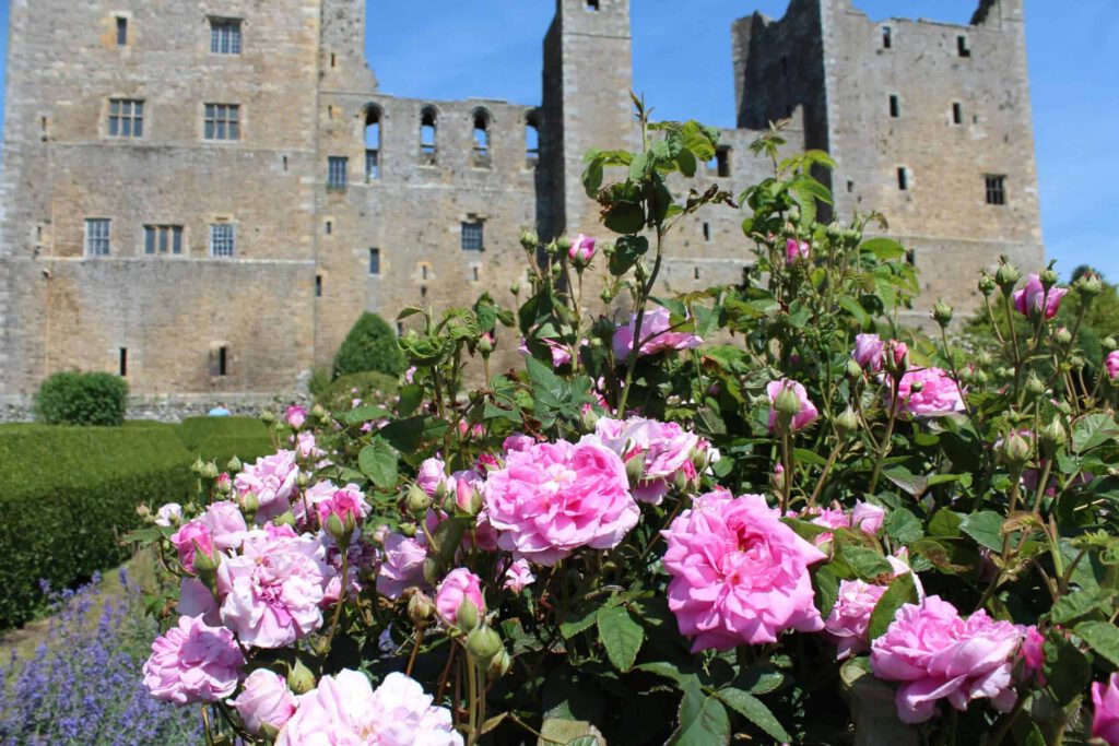 Bolton Castle rose garden