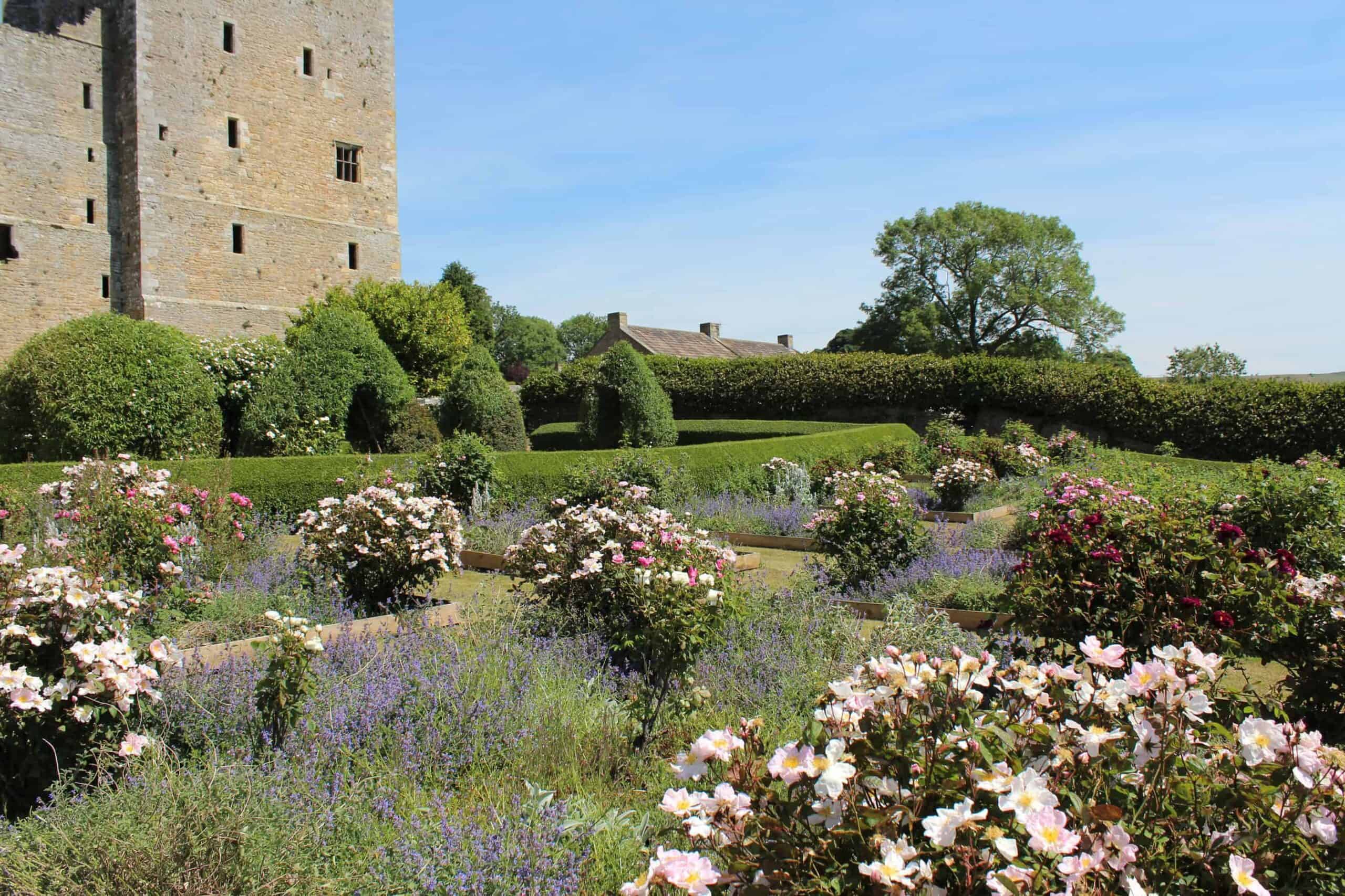Bolton Castle rose garden