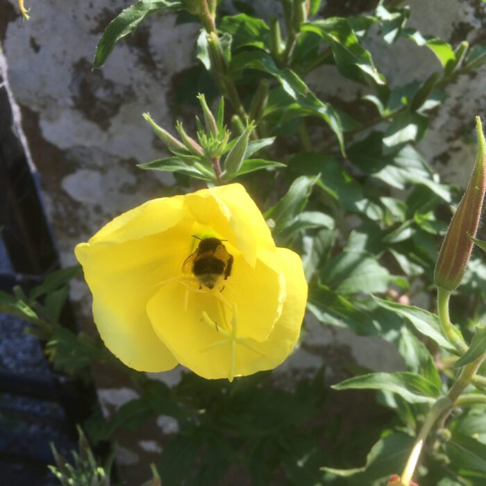 AFC9D542-406C-4414-AC92-A7C97DED8916