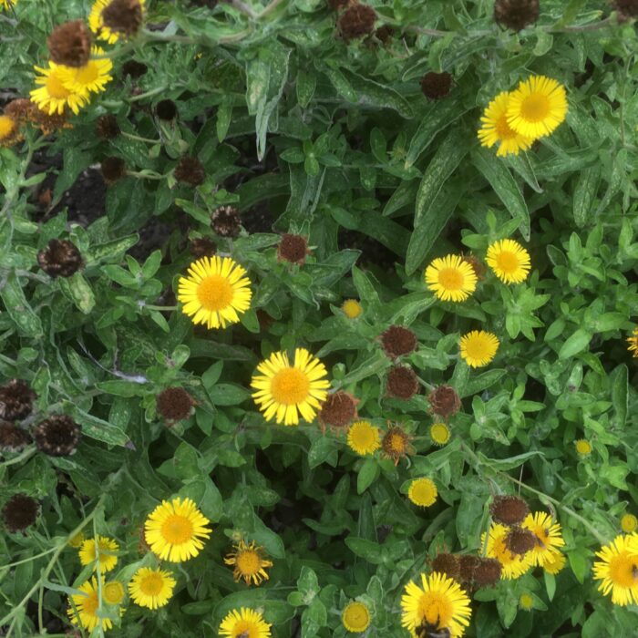 58107BA8-6098-47C3-9A2F-957E9C5508E5