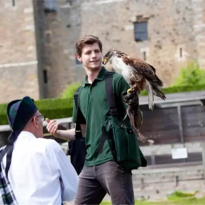 Falcon handler