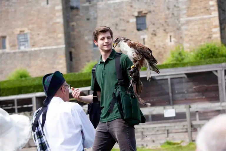 Falcon handler