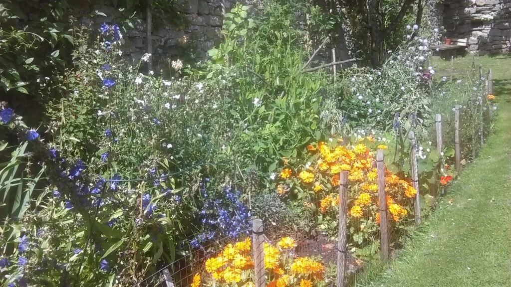 Mary-Garden-Bolton-Castle