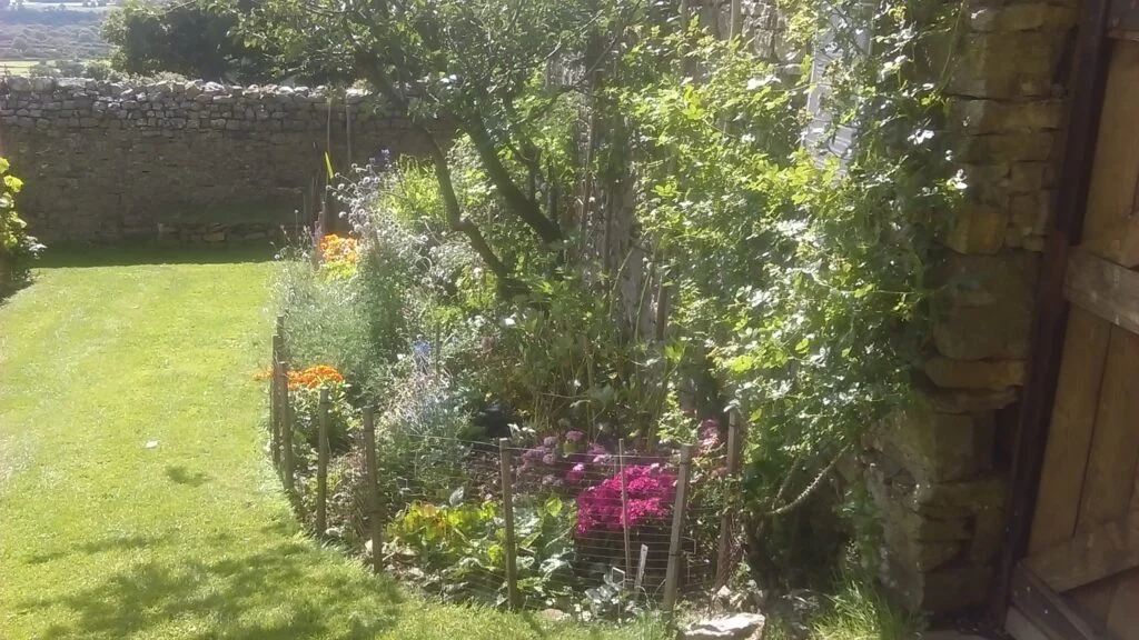 Mary-Garden