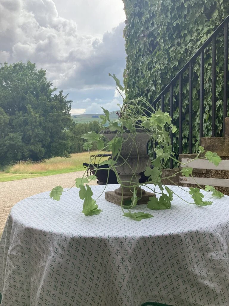 the-cooks-flat-outdoors