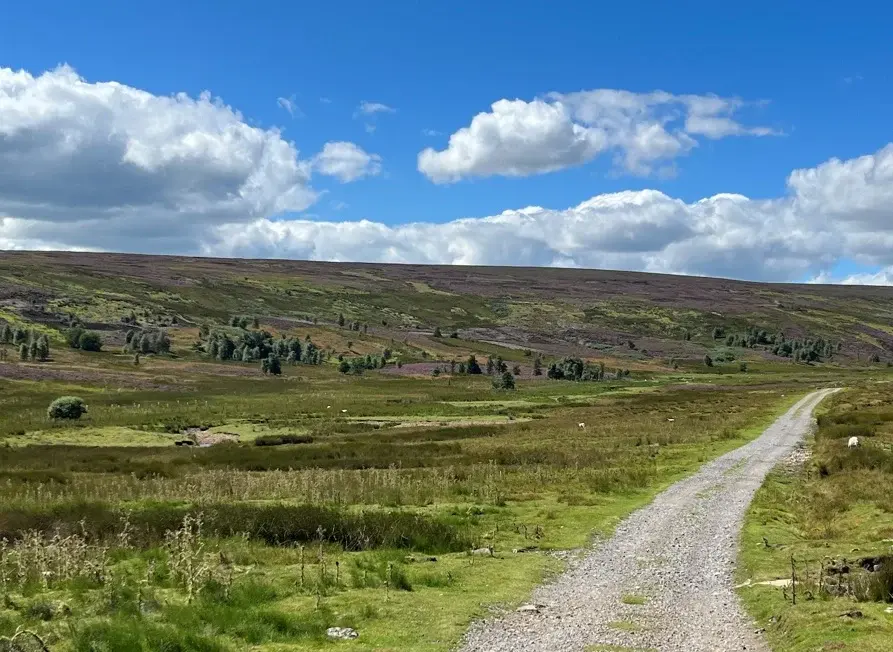 bolton-castle-managed-moorland