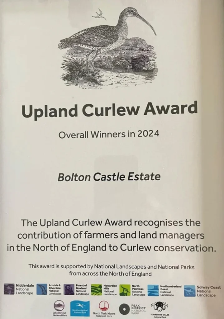 upland-curlew-award-2024