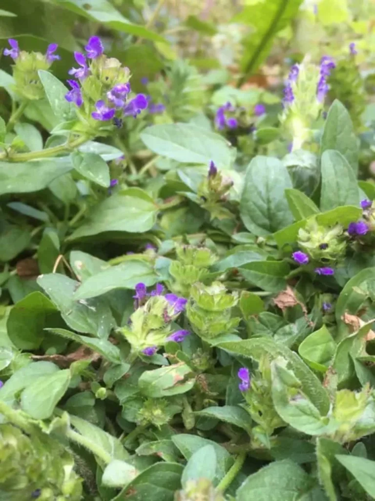 Self-Heal